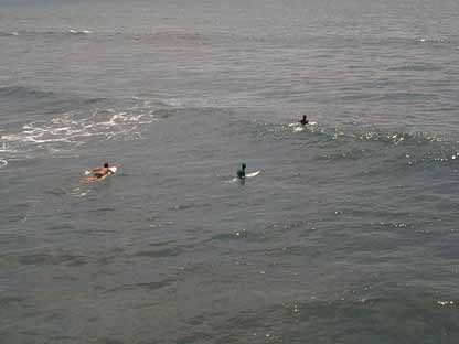 Surfing Wide 1 5 L1.JPG (13404 bytes)