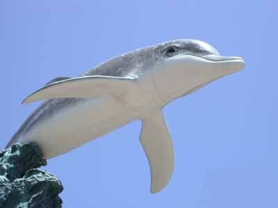 26%20IB%20Porpoise%20L1.jpg