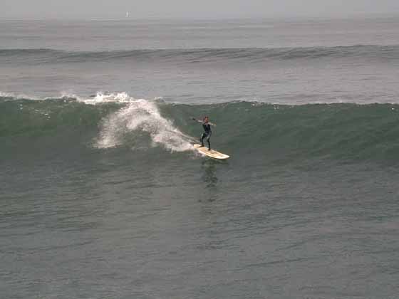 49 Surfer 7x5L1.jpg (19163 bytes)