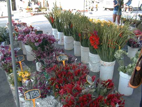 9 Flowers 6L1.JPG (42046 bytes)