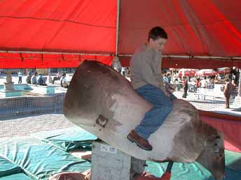 Bull Ride 2 4L1.JPG (18648 bytes)
