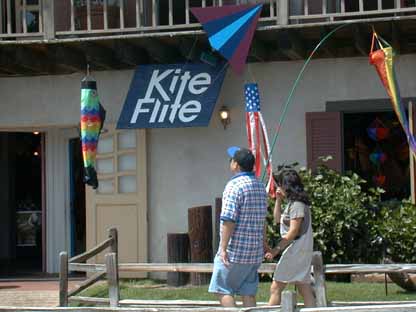 Kite Flite 5L1.JPG (24655 bytes)