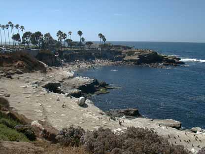 La Jolla Cove 1 5L1.JPG (22461 bytes)