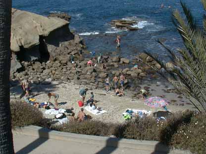 La Jolla Cove 3 5L1.JPG (28518 bytes)