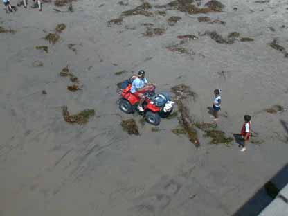 Lifeguard Quadrunner 5 L11.JPG (13439 bytes)
