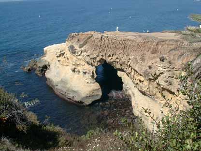 Ocean Arch La Jolla 5L1.JPG (27256 bytes)