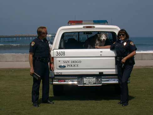 Police with Dog 6L1.JPG (19025 bytes)
